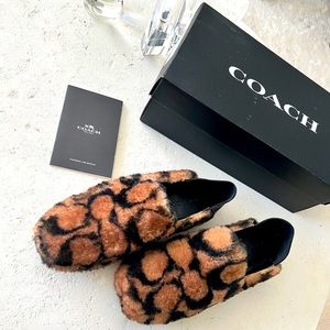 Coach Holly Shearling Loafer